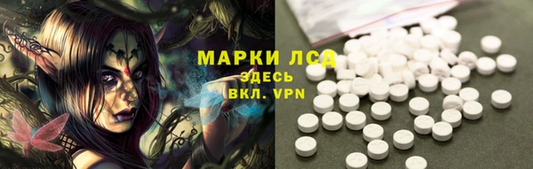 сатива Медногорск