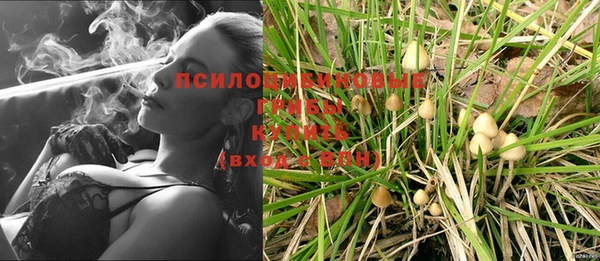 тгк Мегион
