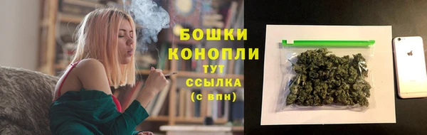сатива Медногорск