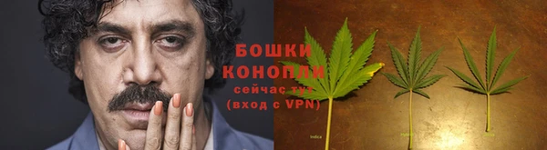 гидра Медвежьегорск